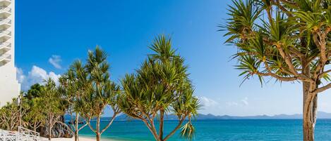 A beach with palm trees, a white building, and a clear blue sky.