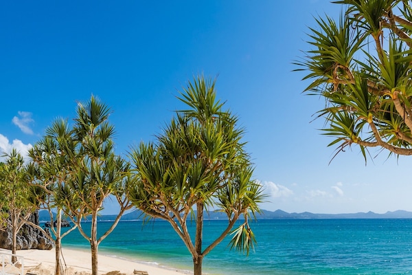 On the beach, white sand