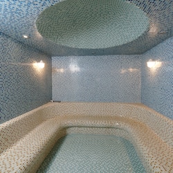 Sauna, hot tub, steam room, facials, manicures and pedicures, massages