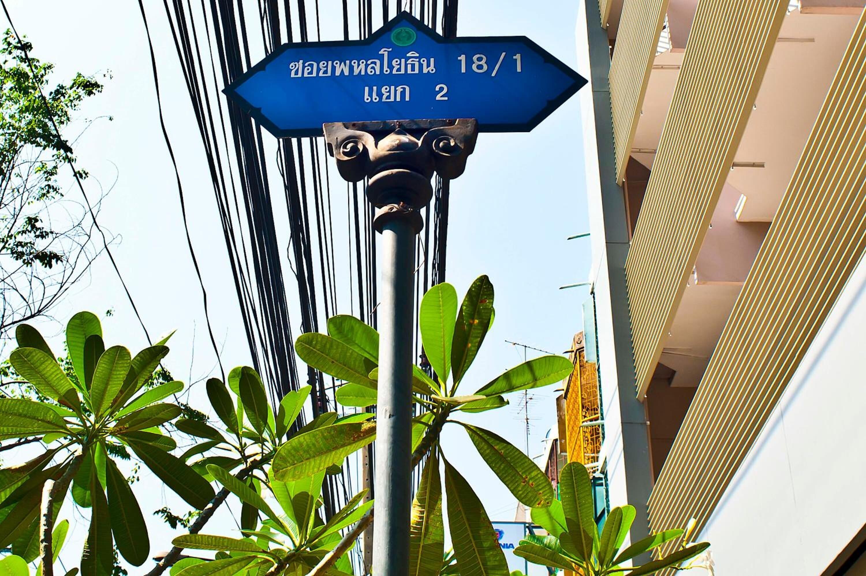 A street sign with Thai text, surrounded by power lines and some greenery.
