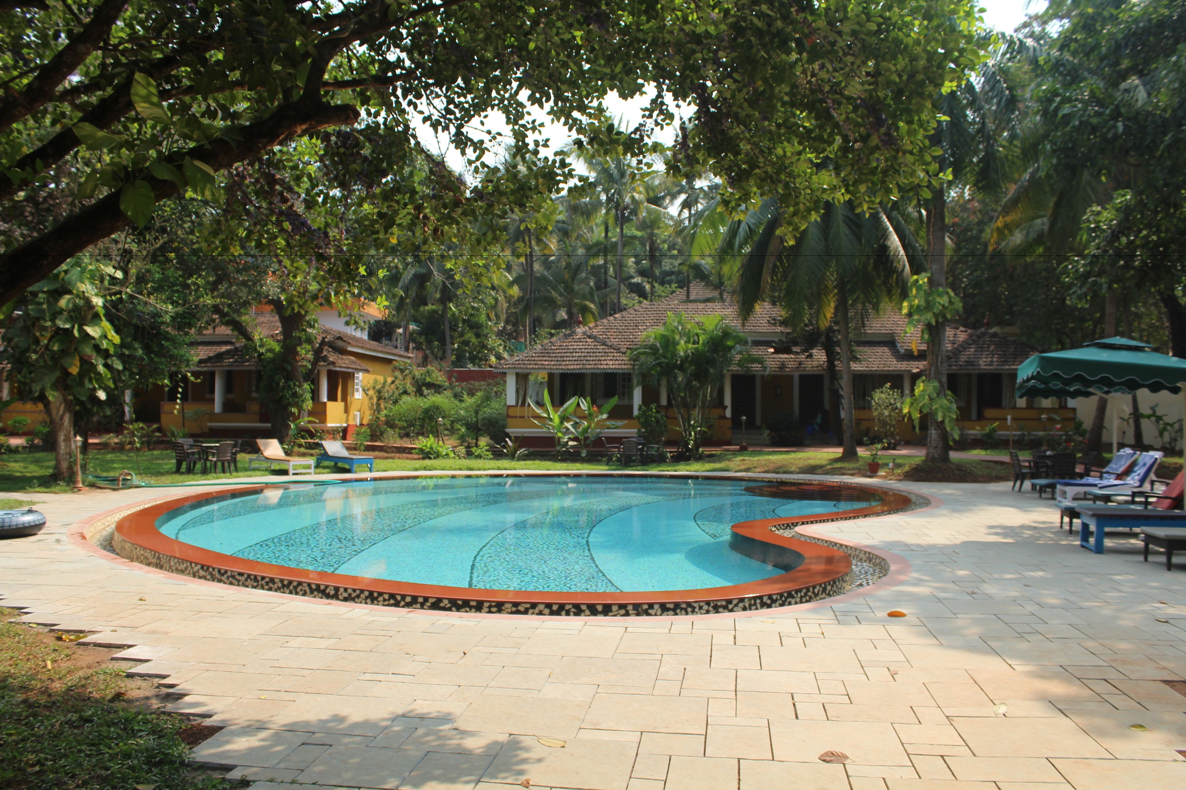 Una piscina con solárium empedrado, rodeada de palmeras y sillas de descanso.