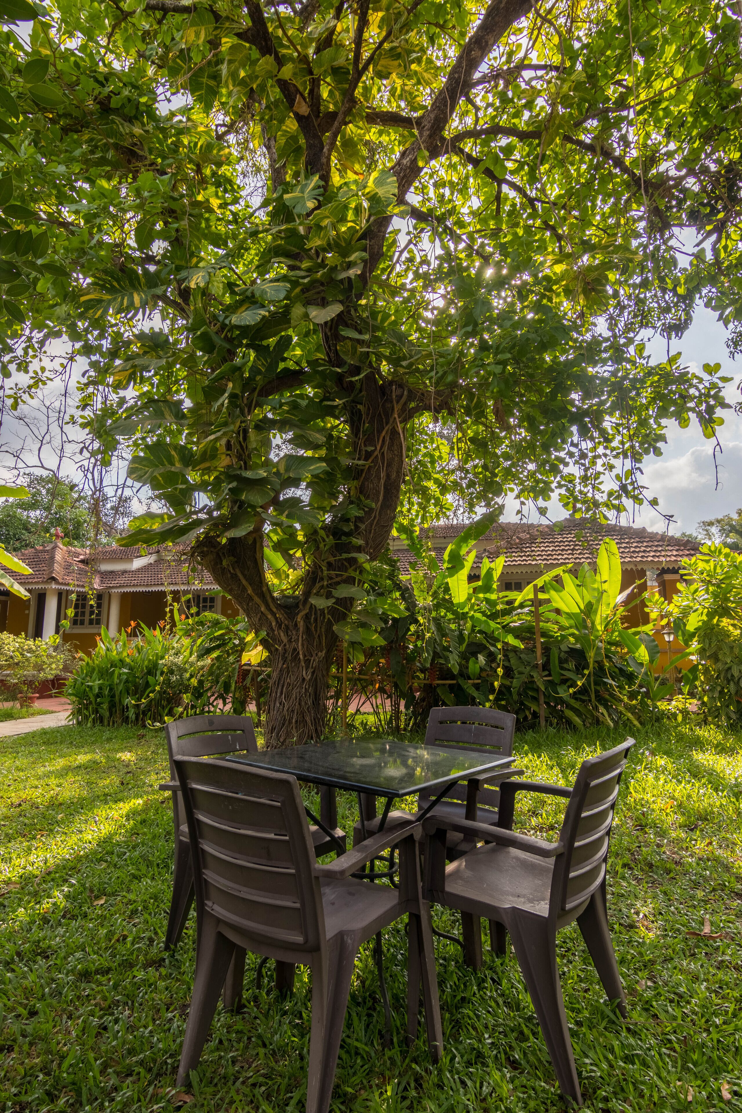 Una mesa y sillas bajo un árbol en un jardín, con un edificio al fondo.