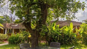 Una mesa y sillas bajo un árbol en un jardín, con un edificio al fondo.