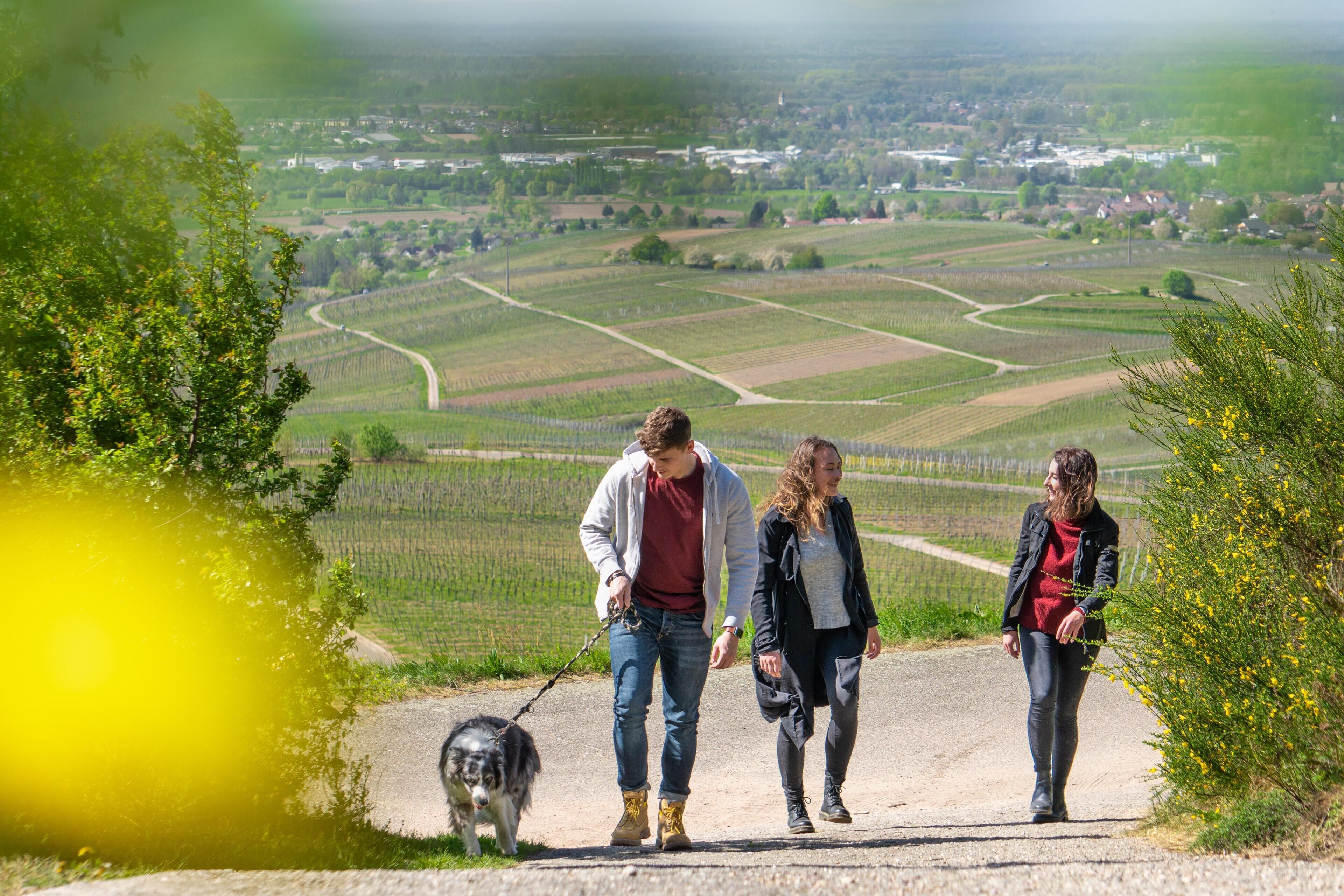 Foto - Hotel Rebenhof