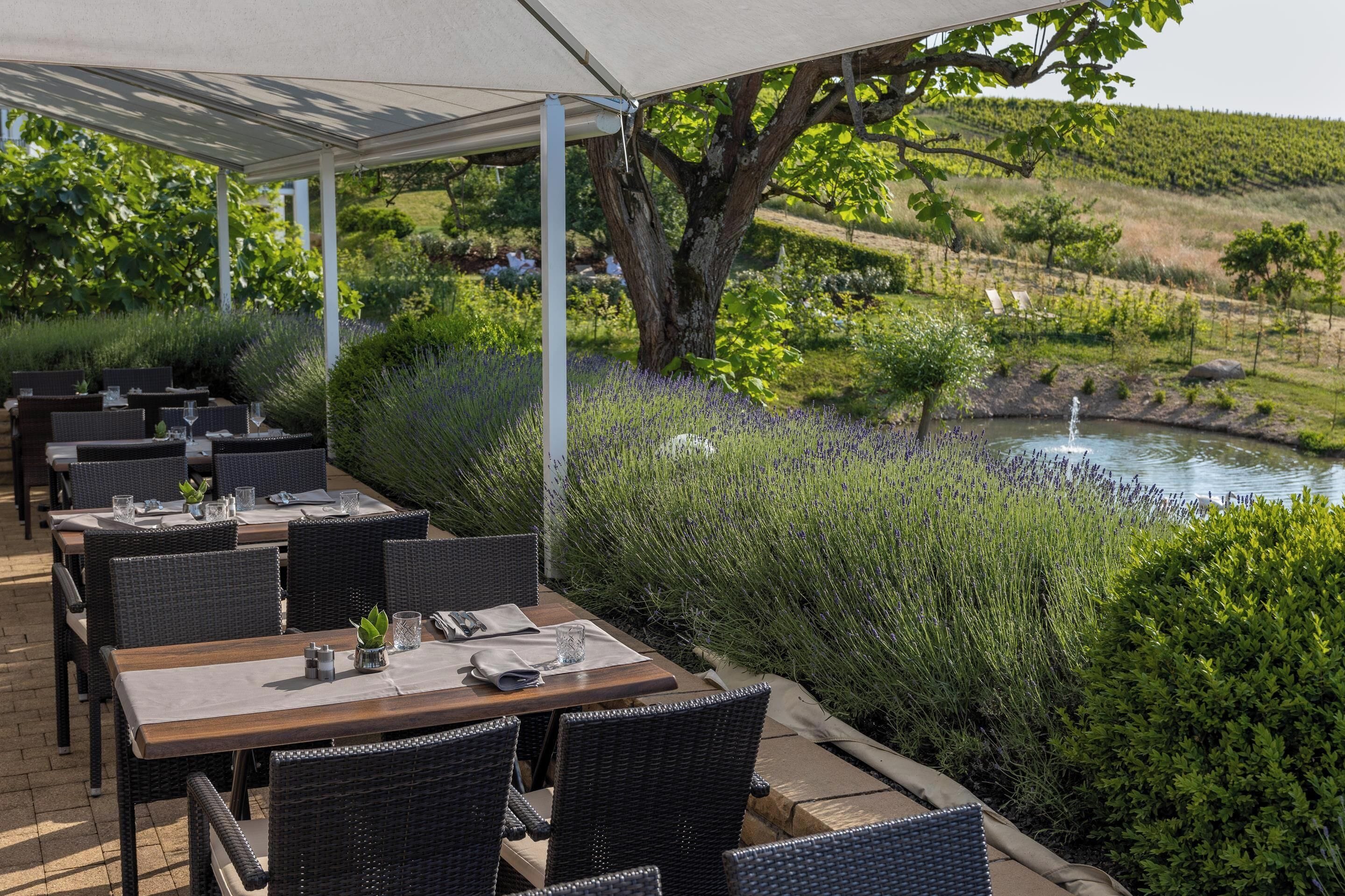 Foto - Hotel Rebenhof