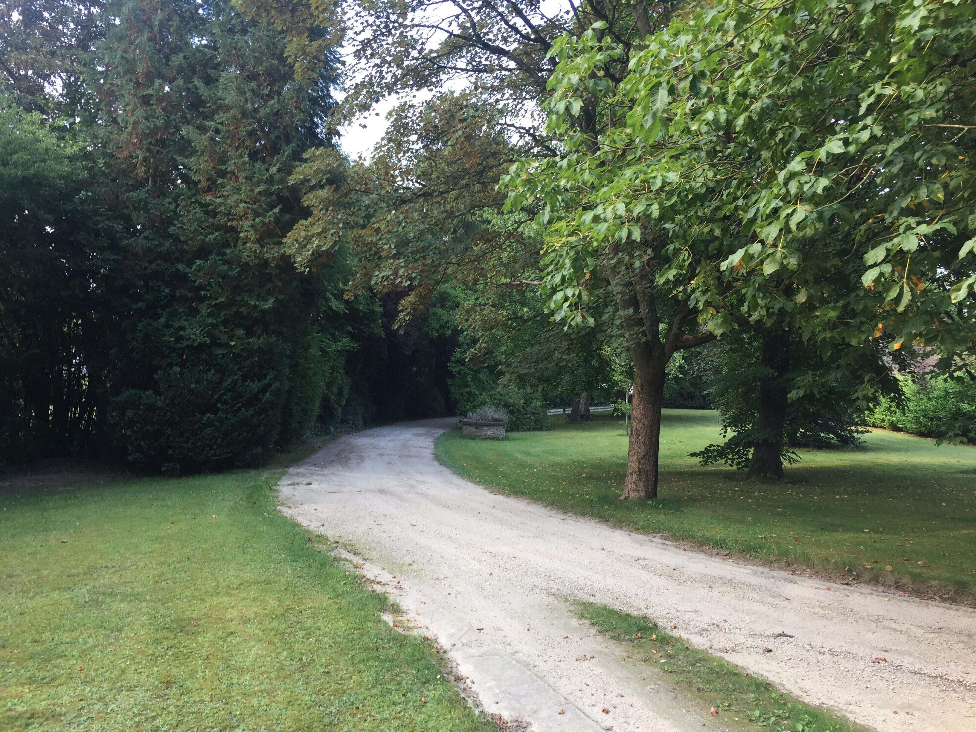 A gravel path surrounded by dense trees and grass.
