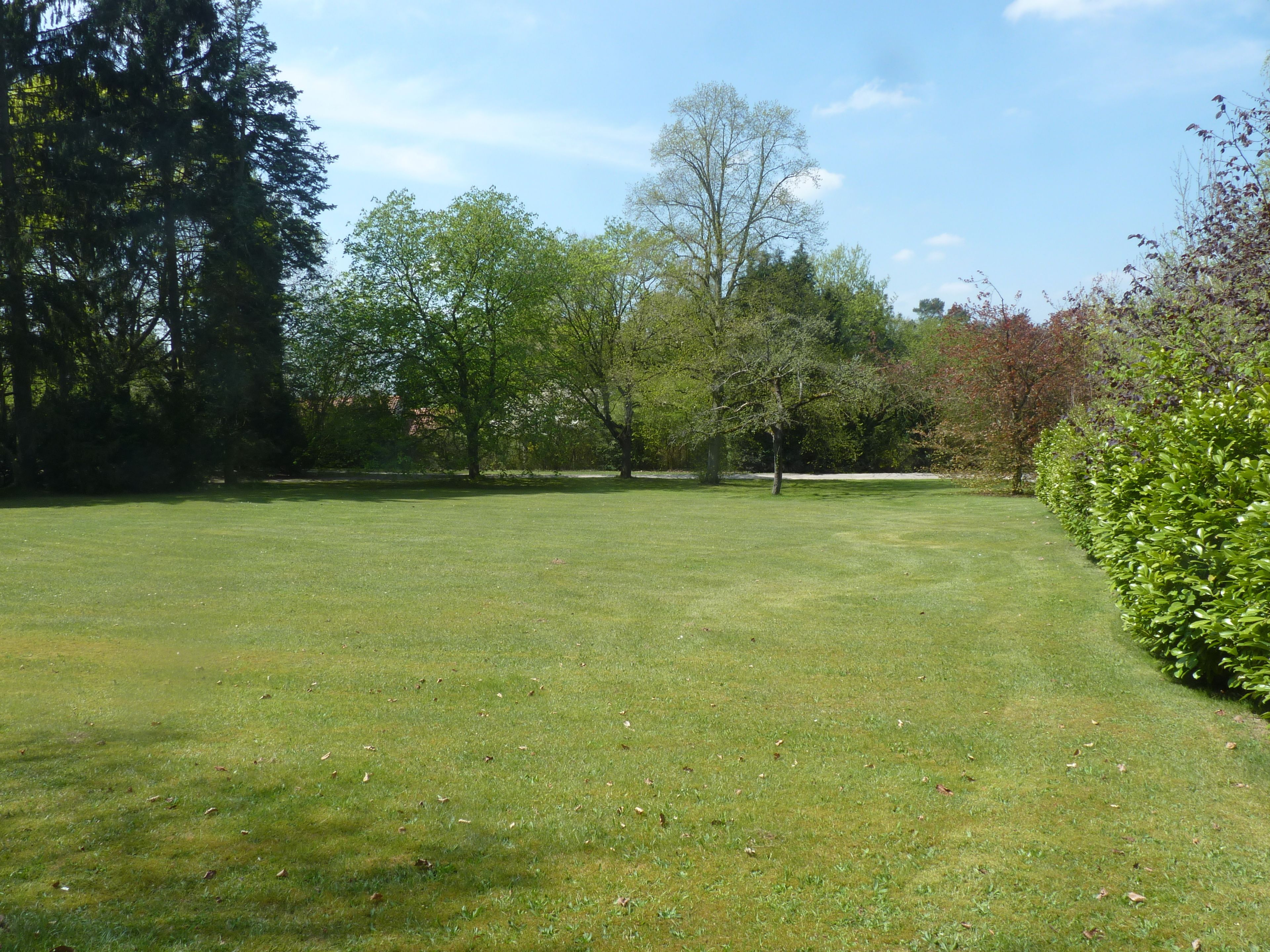 A well-maintained grassy area with trees and a hedge.