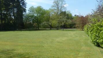 A well-maintained grassy area with trees and a hedge.