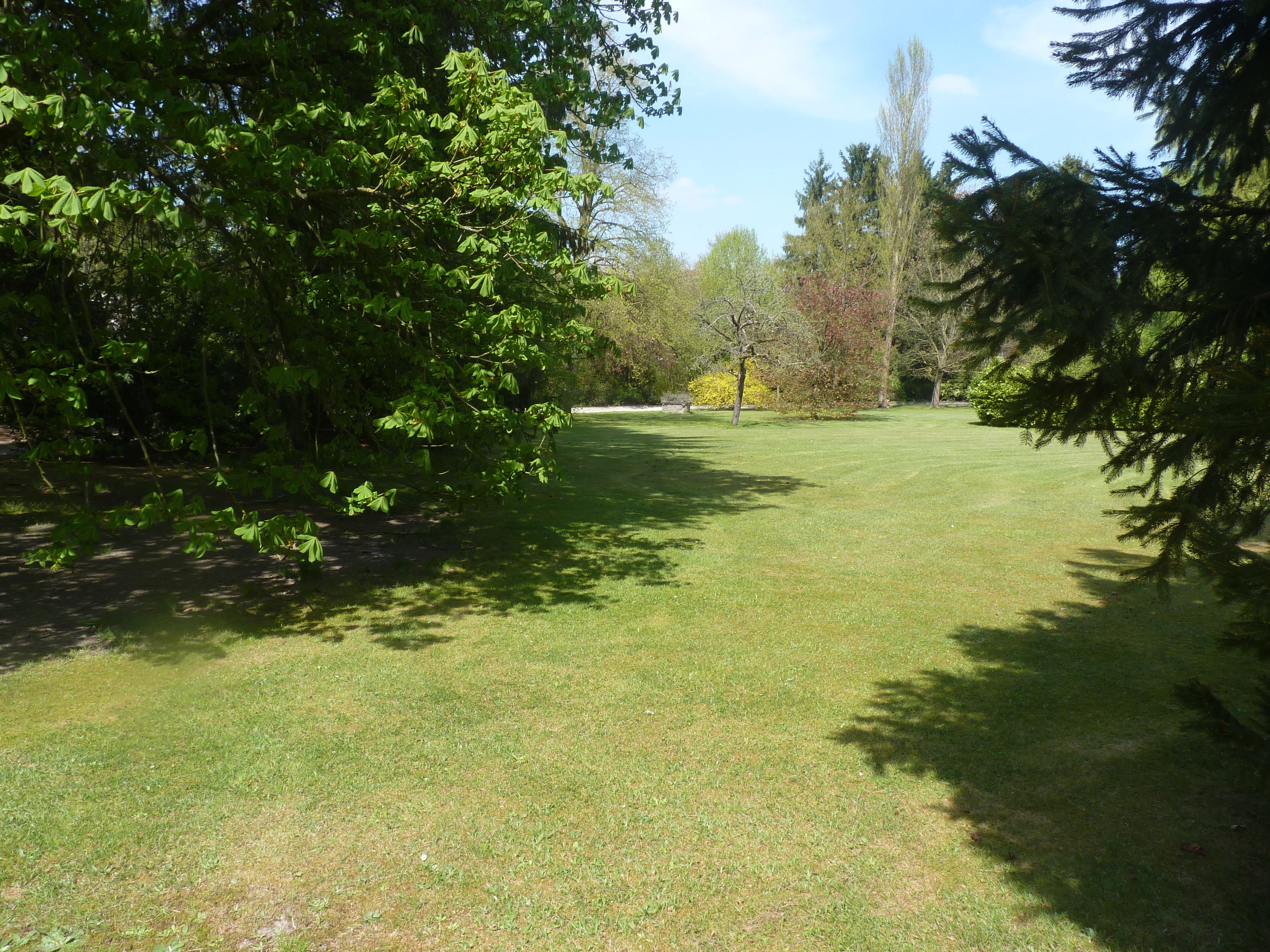 A grassy area with trees and a clear sky.