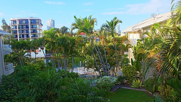 A resort with a pool, palm trees, and a view of a tall building in the background. - Surfers Del Rey (Surfers Paradise)
