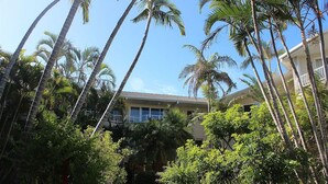 A hotel with a central courtyard surrounded by tall palm trees and lush greenery. - Surfers Del Rey (Surfers Paradise)