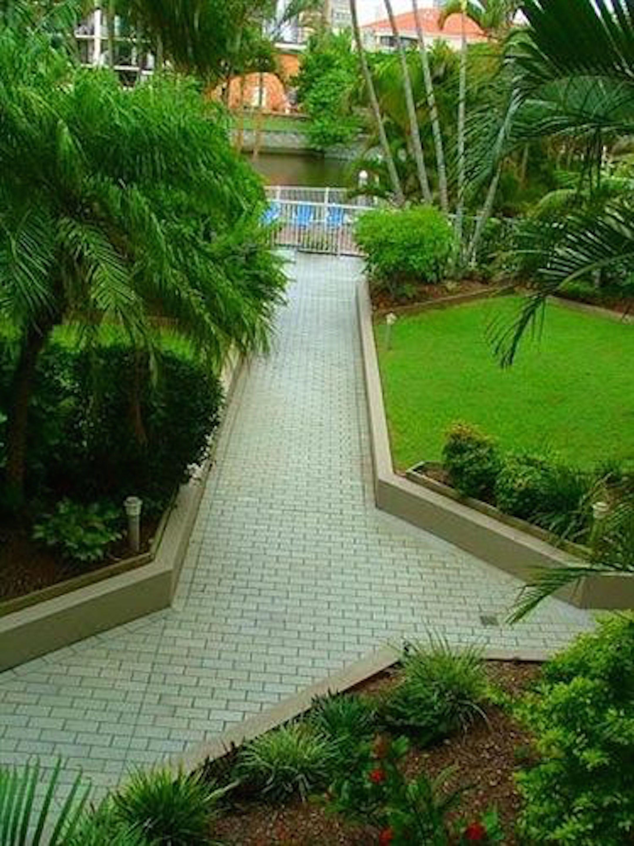 Photo - Surfers Del Rey