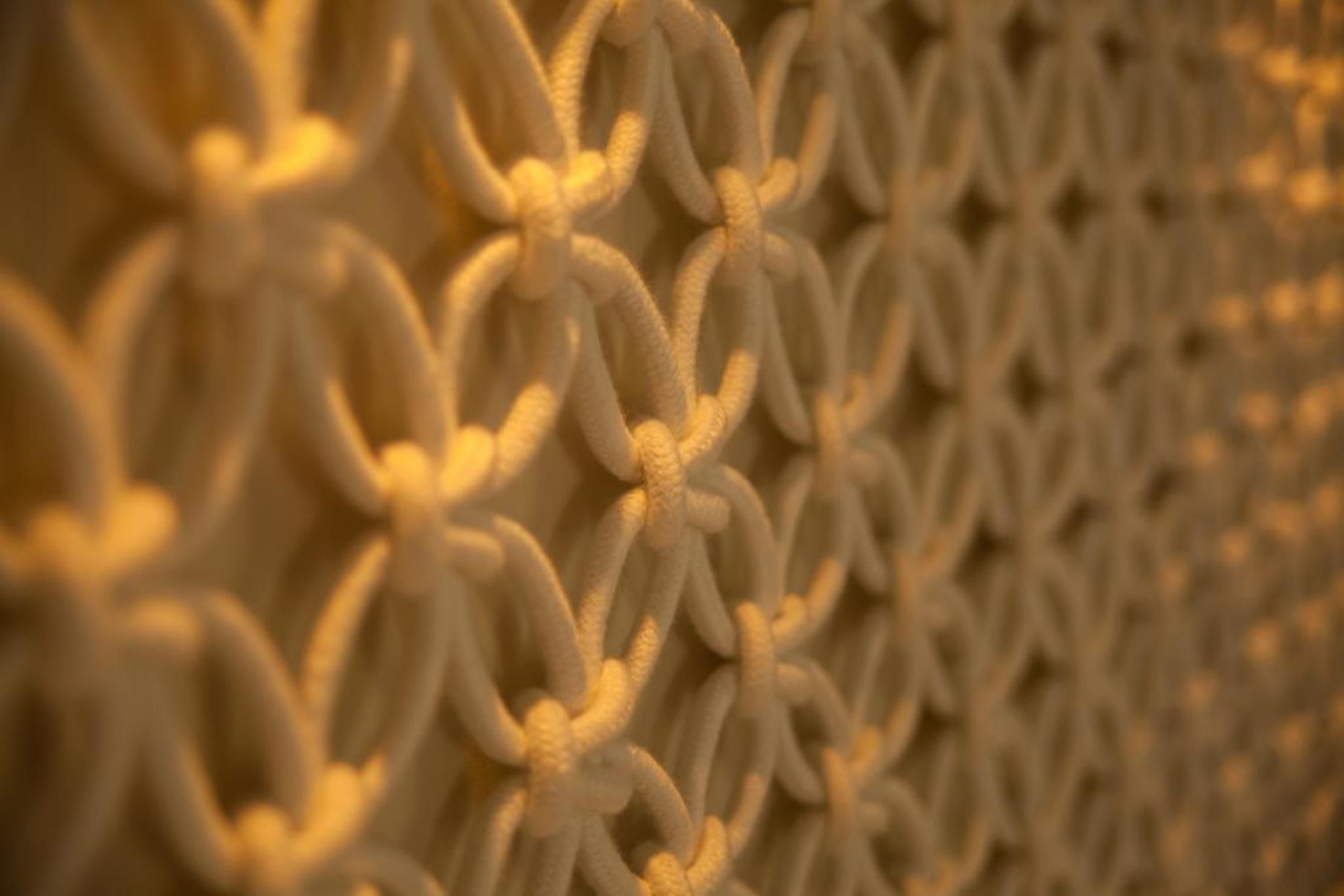 A close-up of a chain-link fence.