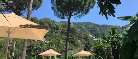 Seasonal outdoor pool, open 8:00 AM to 6:00 PM, pool loungers