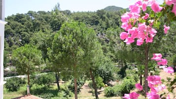 Vista desde la propiedad