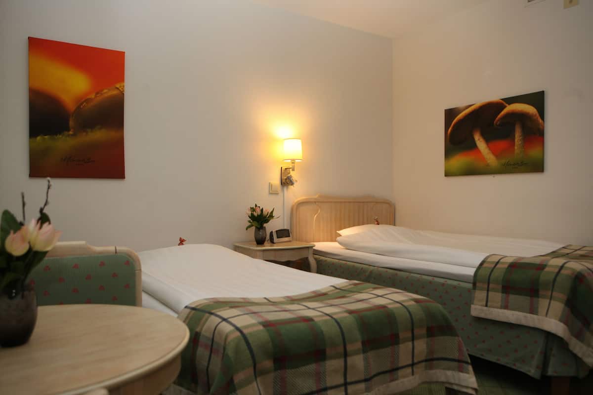 Economy Single Room (Single room with extra bed)