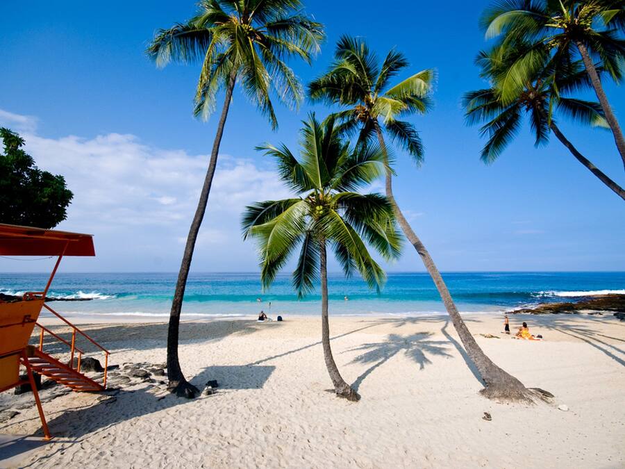 A beach with palm trees, a lifeguard tower, and the ocean.