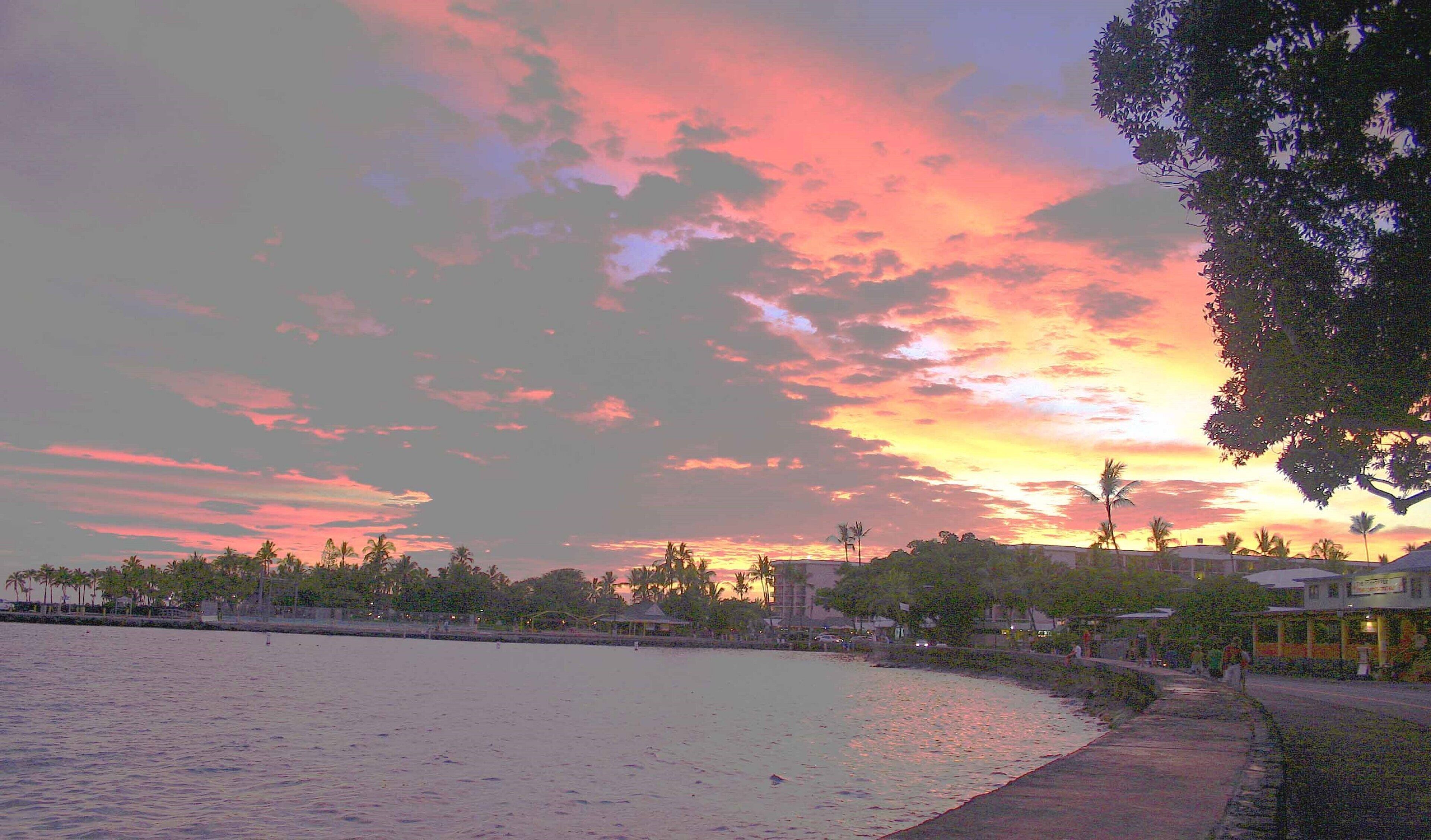 Escena costera con atardecer, palmeras y edificios a lo largo de la orilla.