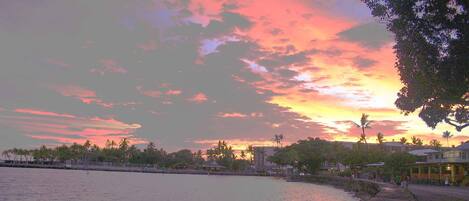 A coastal scene with a sunset, palm trees, and buildings along the shore.