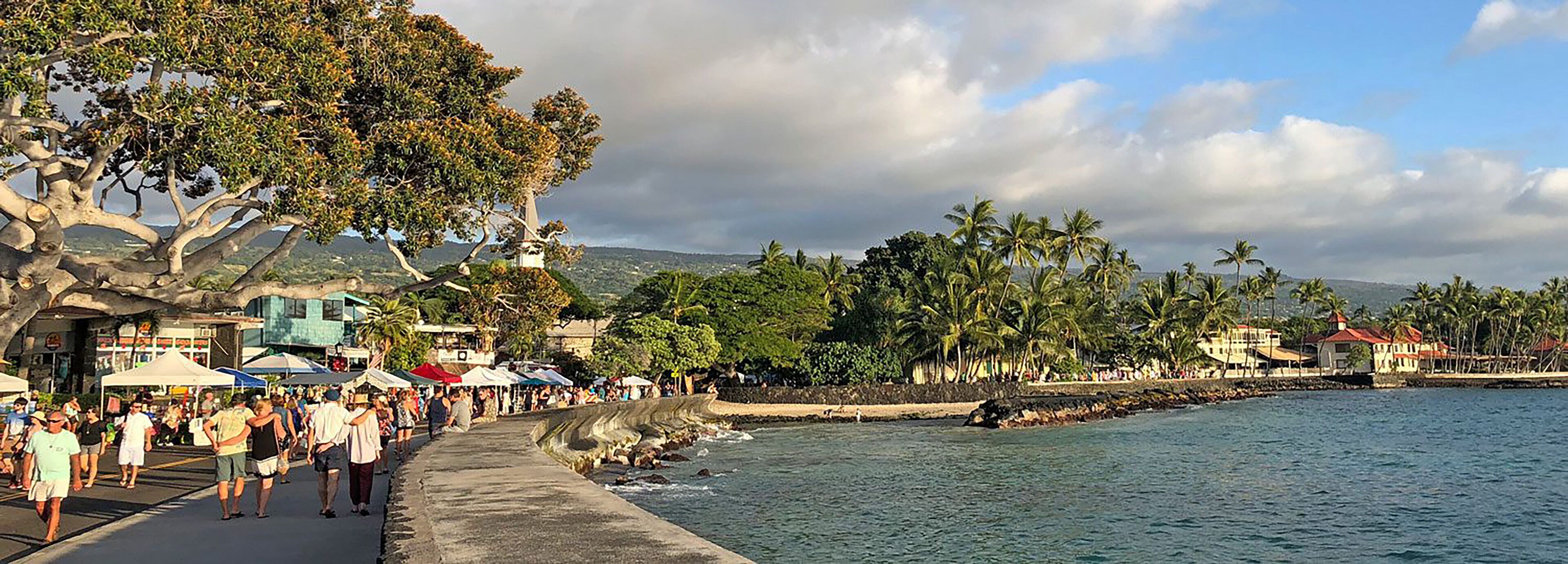 A coastal promenade with a concrete walkway, palm trees, and a view of the sea.