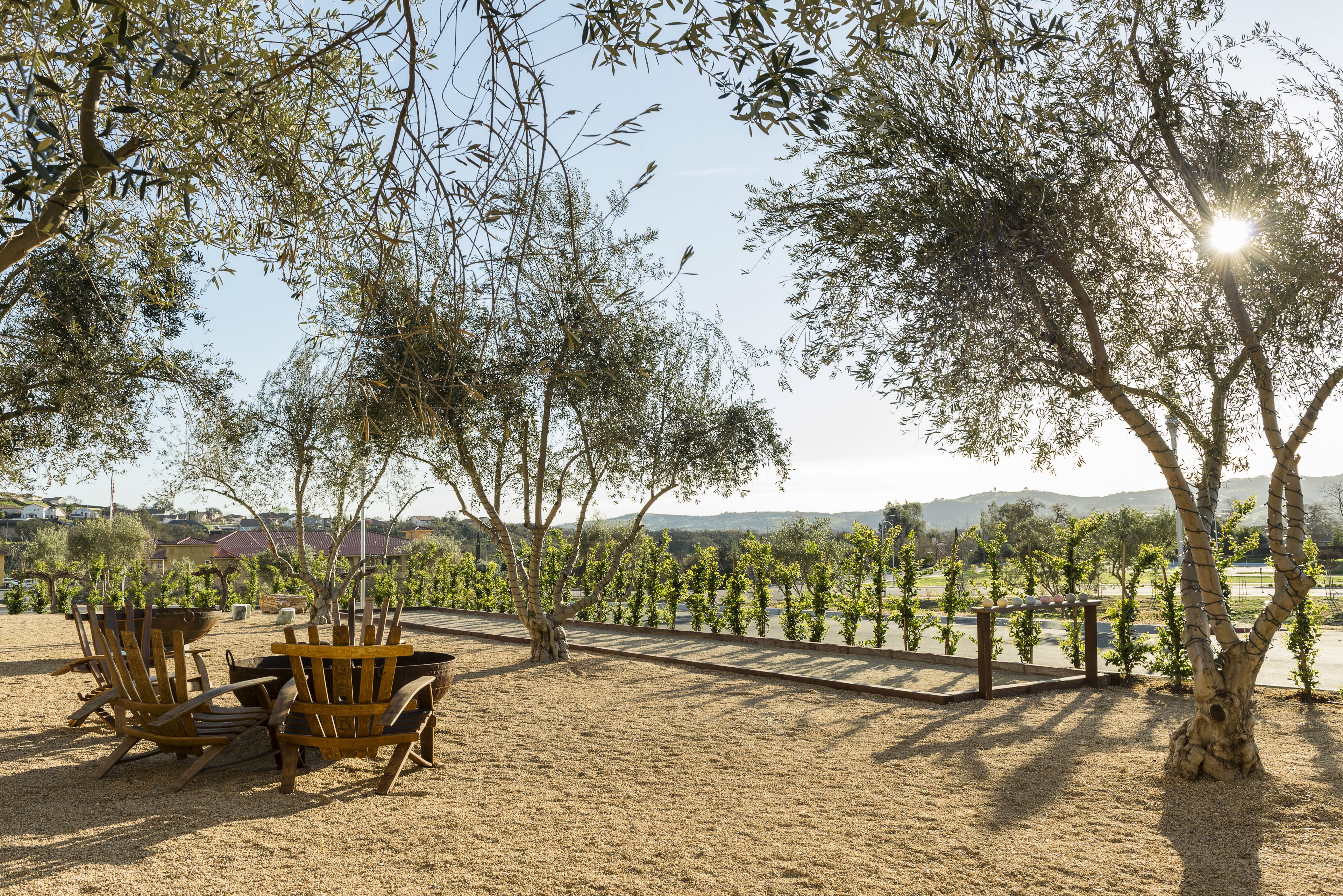Un espace extérieur aménagé avec des chaises et une table en bois, entouré d’arbres et offrant une vue sur un vignoble.