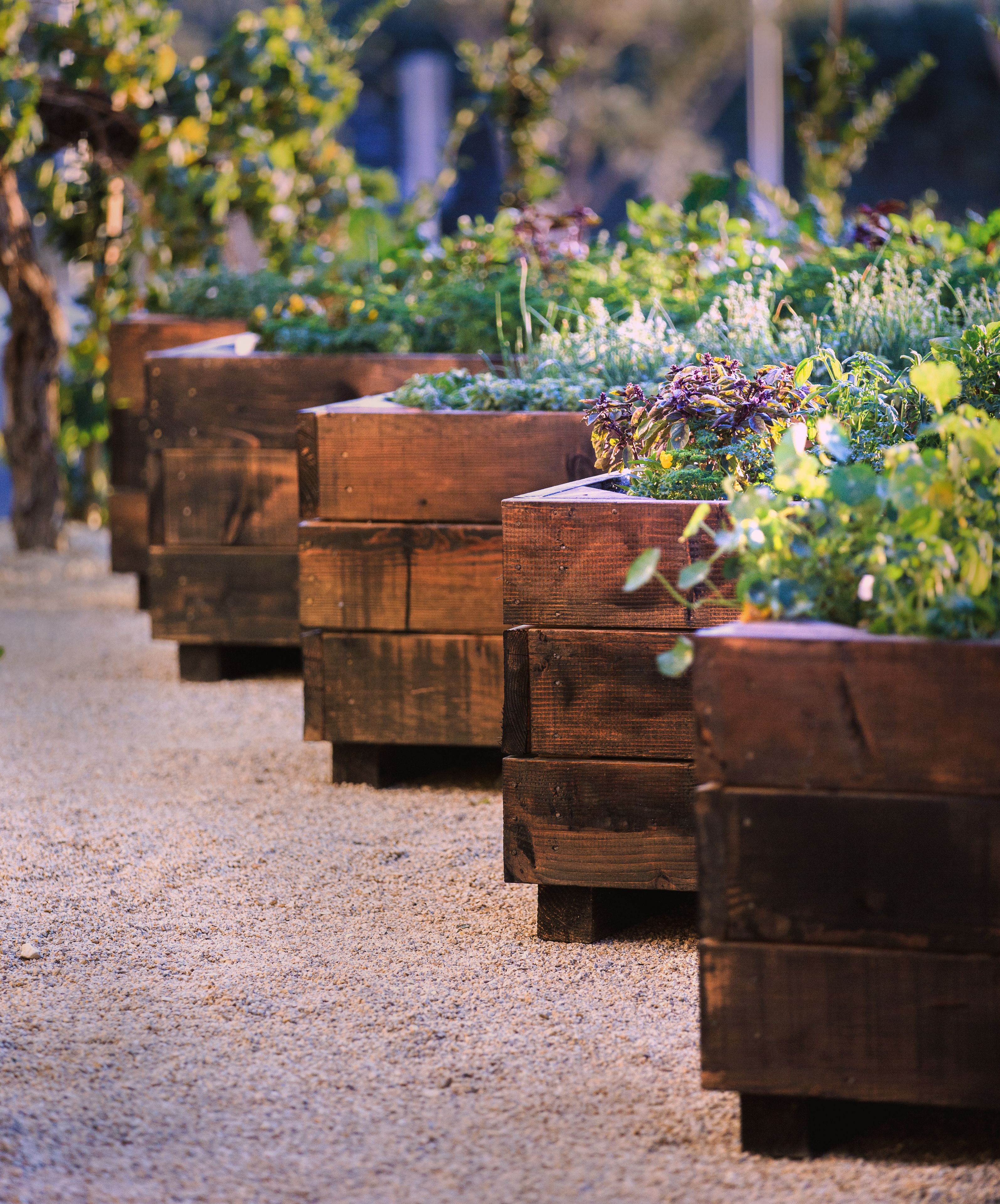 Wooden planters arranged in a row on a gravel path.
