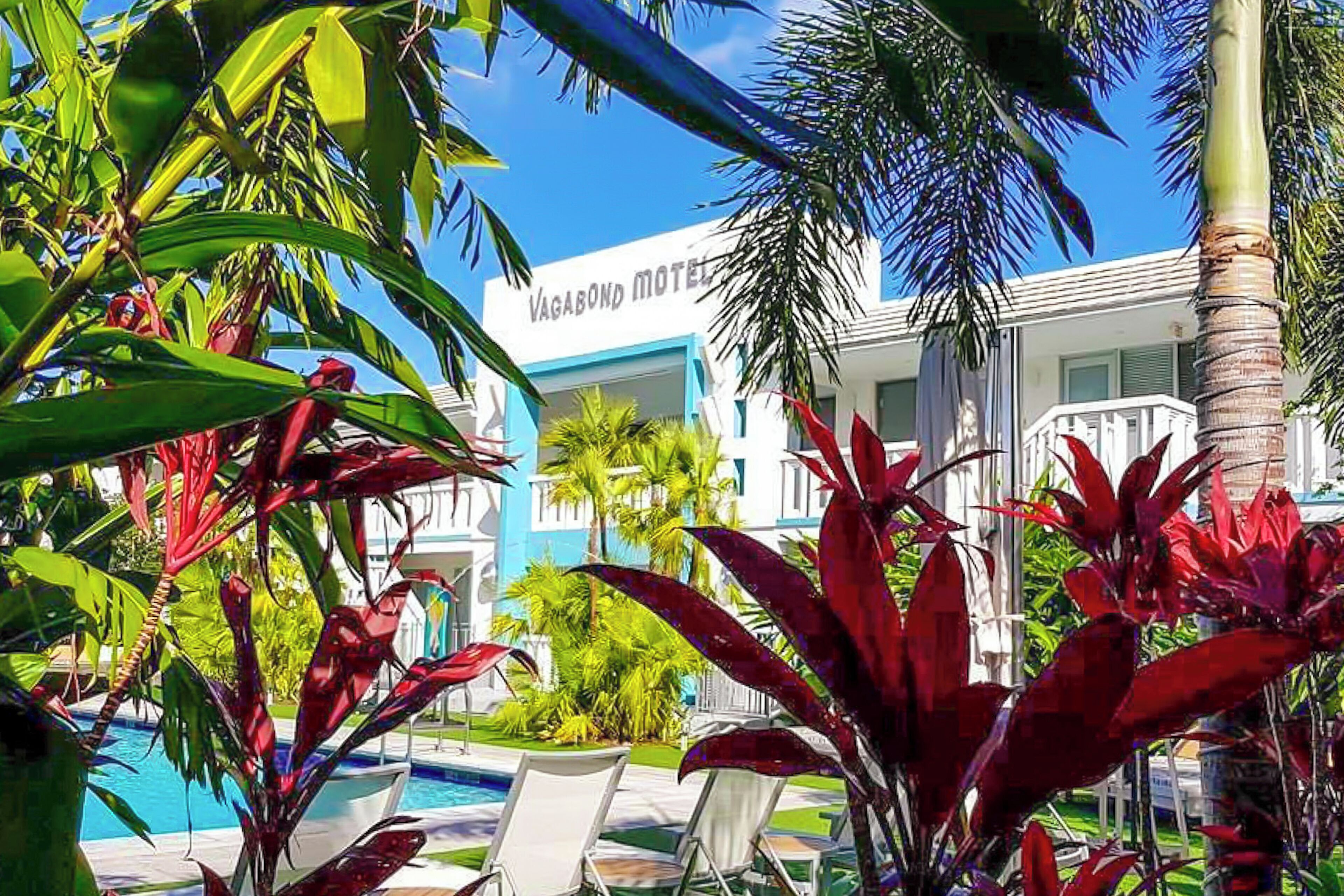 A pool area with lounge chairs, palm trees, and a building with a sign that reads 'VAGABOND MOTEL'.