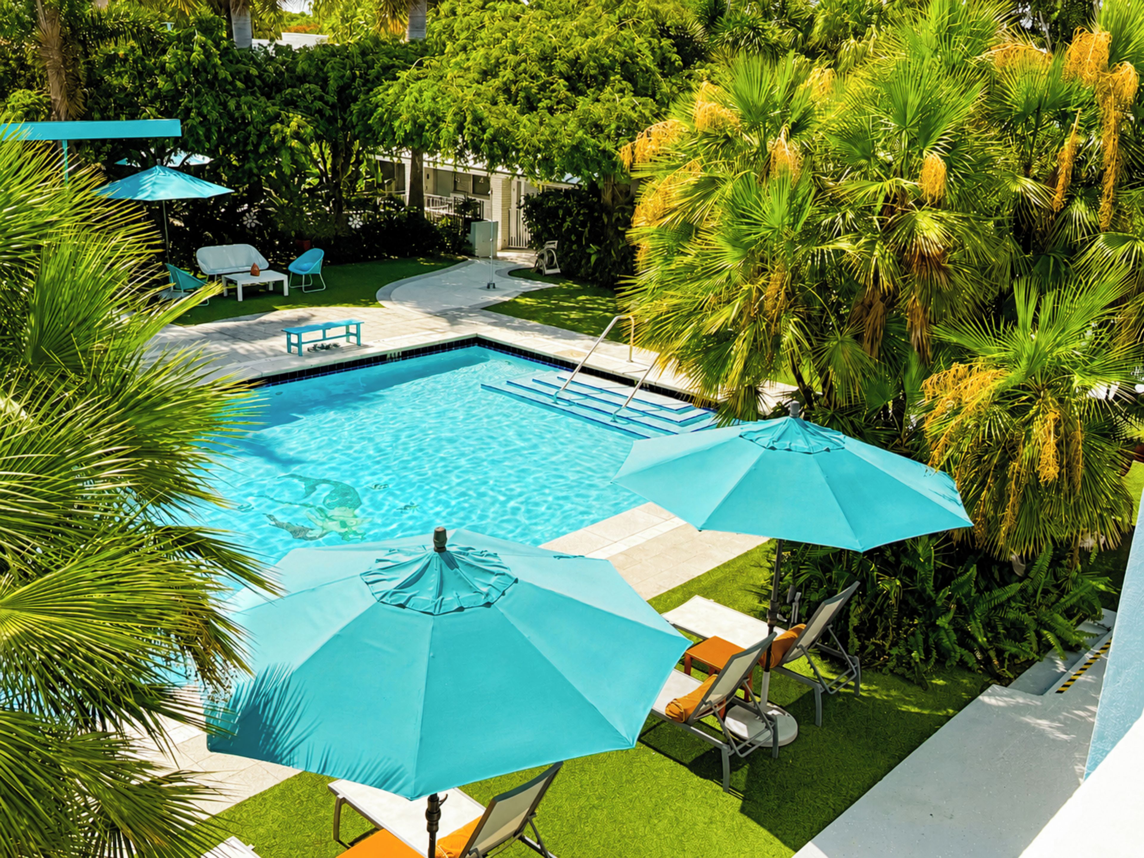 A swimming pool with two umbrellas, surrounded by palm trees and a patio area with chairs.