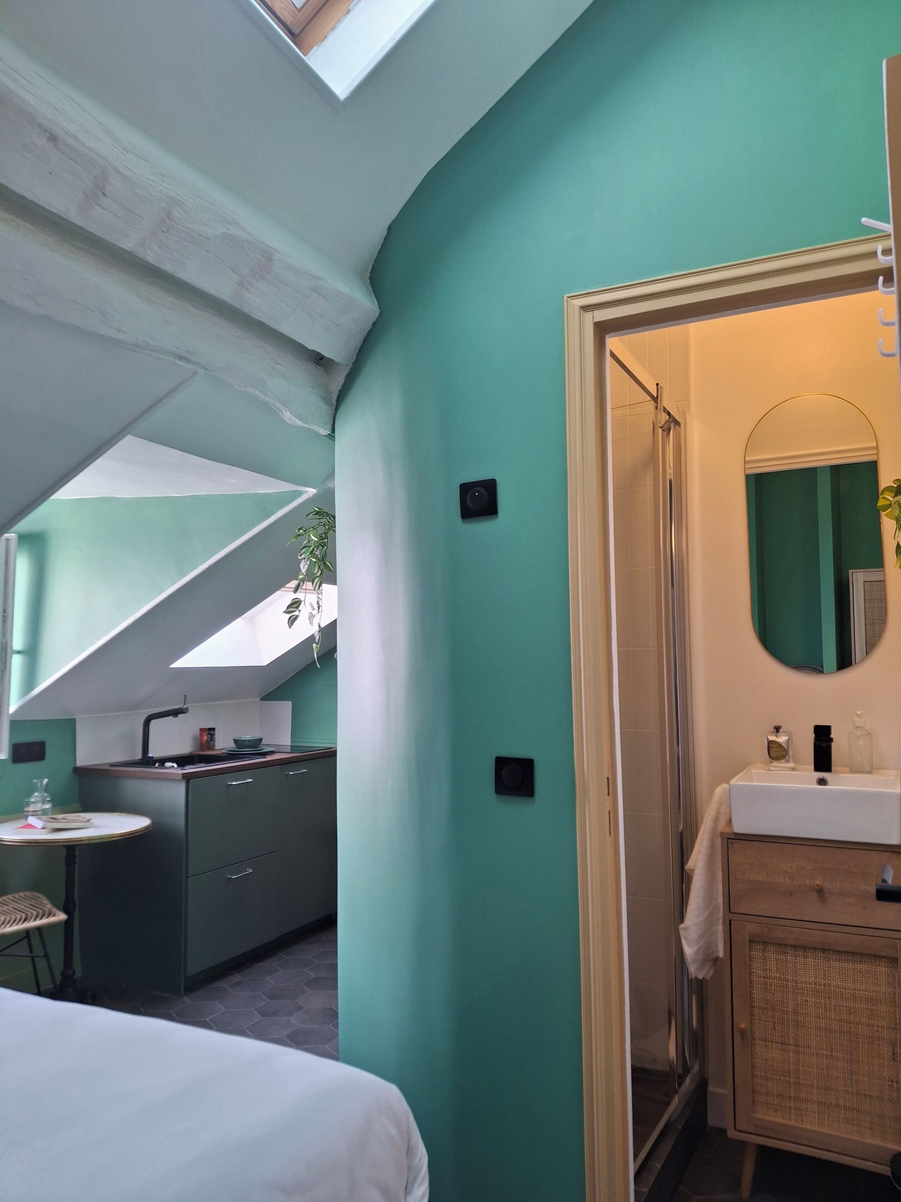 A compact room with a skylight, a small kitchenette, a bathroom with a mirror and sink, and a bed.