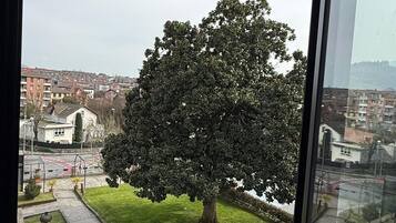 Un árbol grande en un patio con vistas a edificios residenciales al fondo.