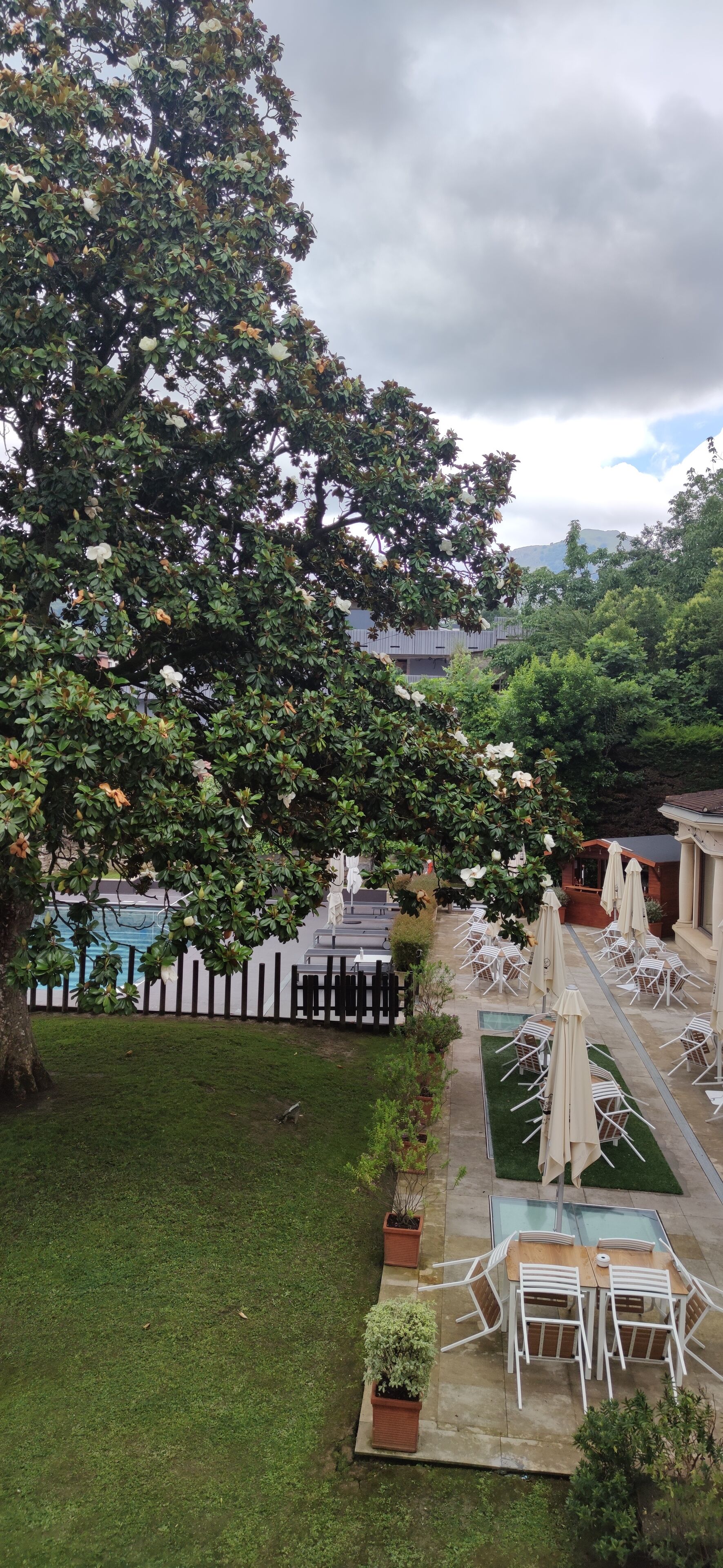A garden area with a pool, outdoor seating, and a large tree.