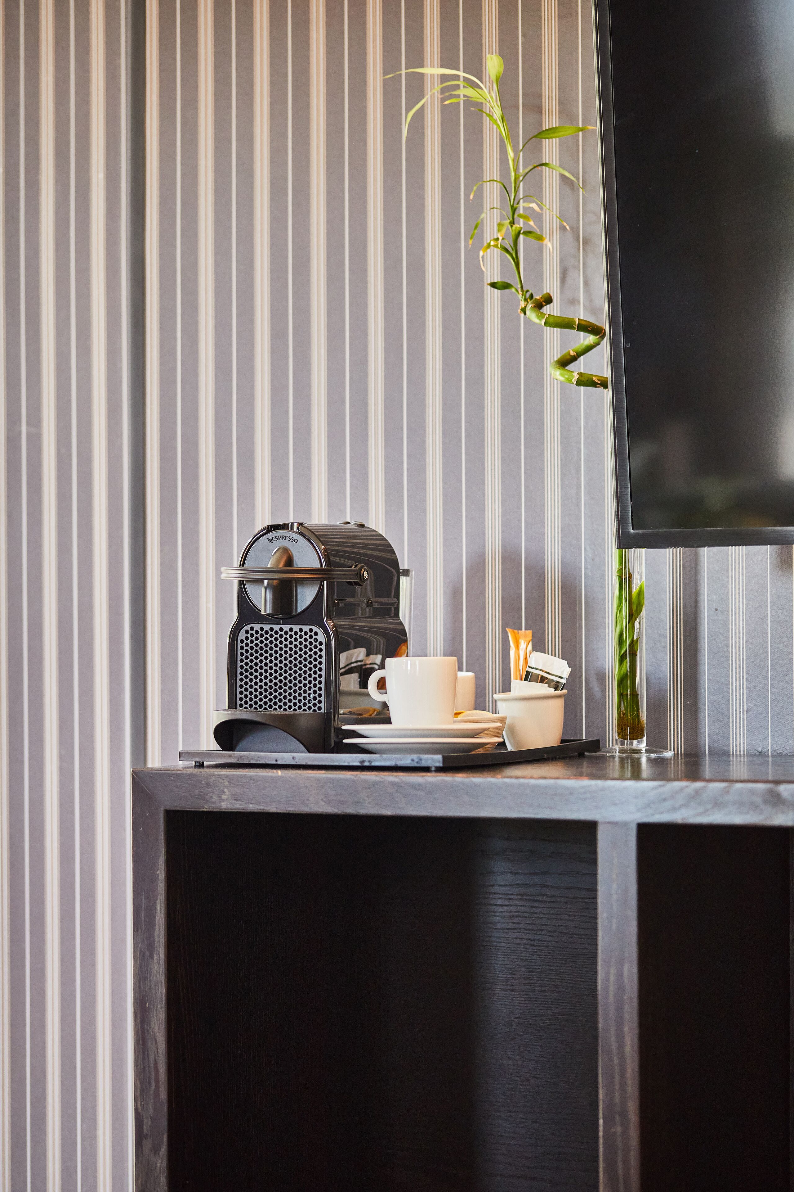 A modern kitchen with a coffee machine, a cup, and a small plant on a wooden counter.