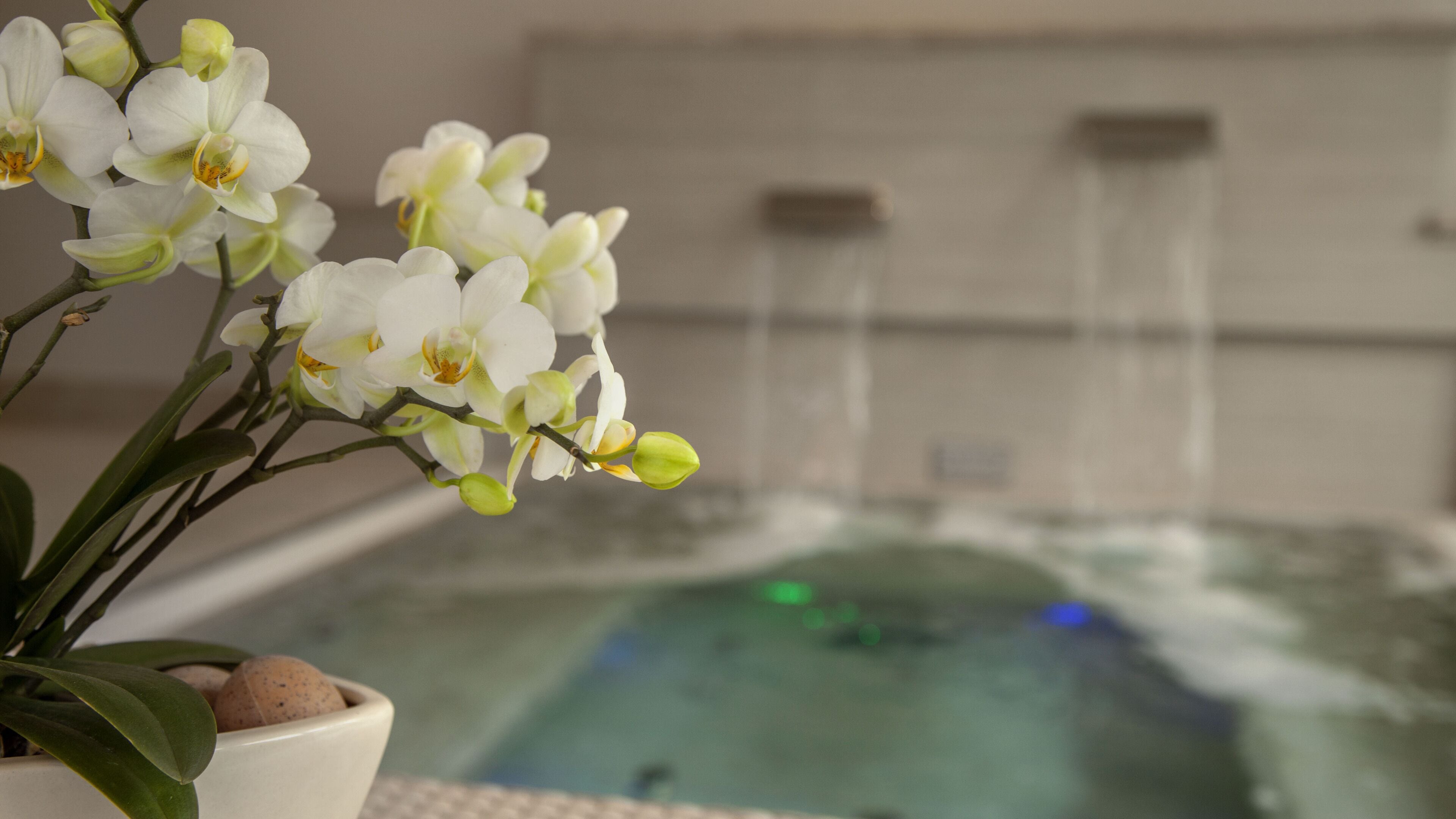 Foto - Parkhotel Delta Wellbeing Resort Ascona