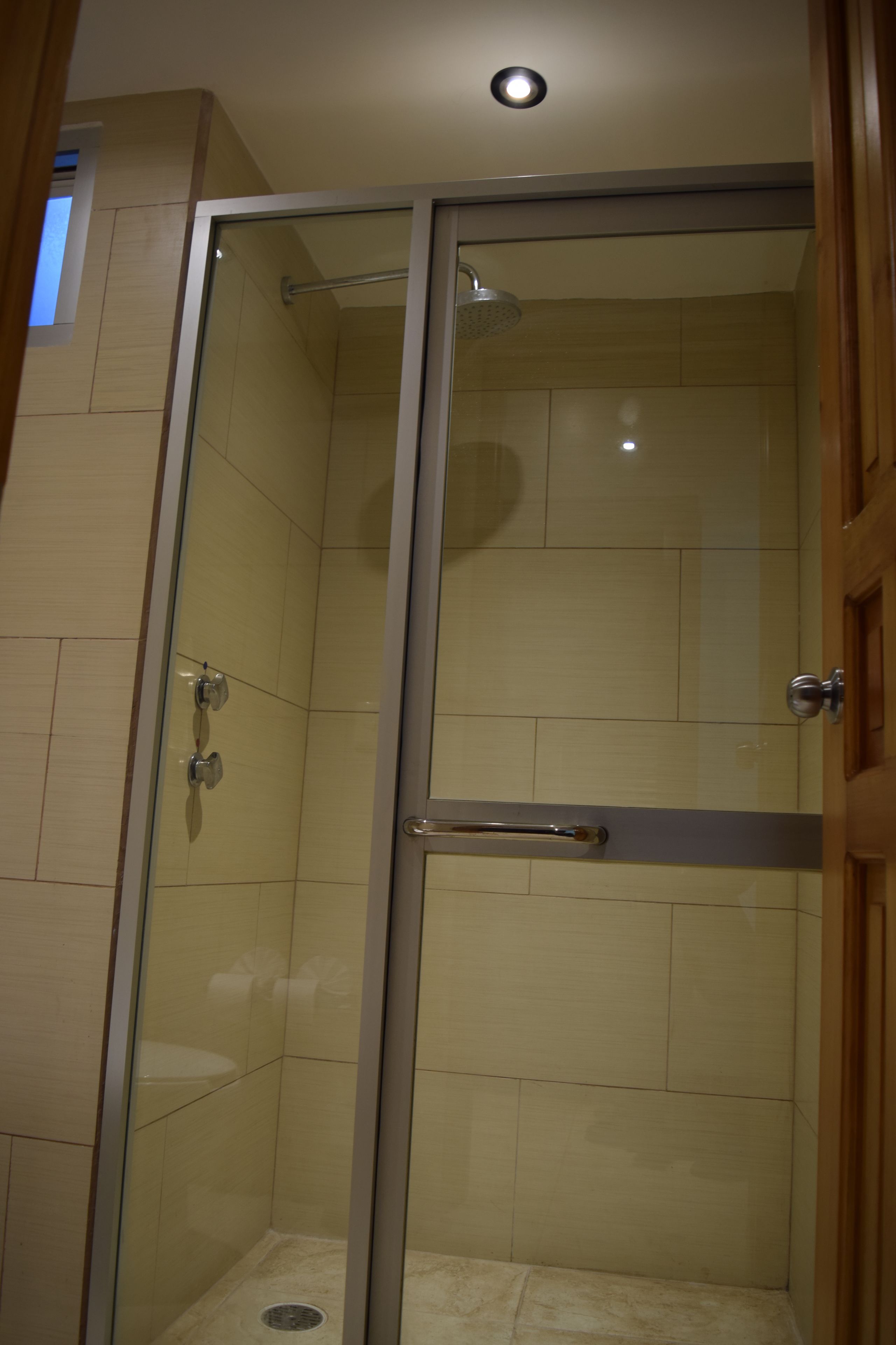 A glass-enclosed shower with a handheld showerhead, a glass door, and a metal handle.