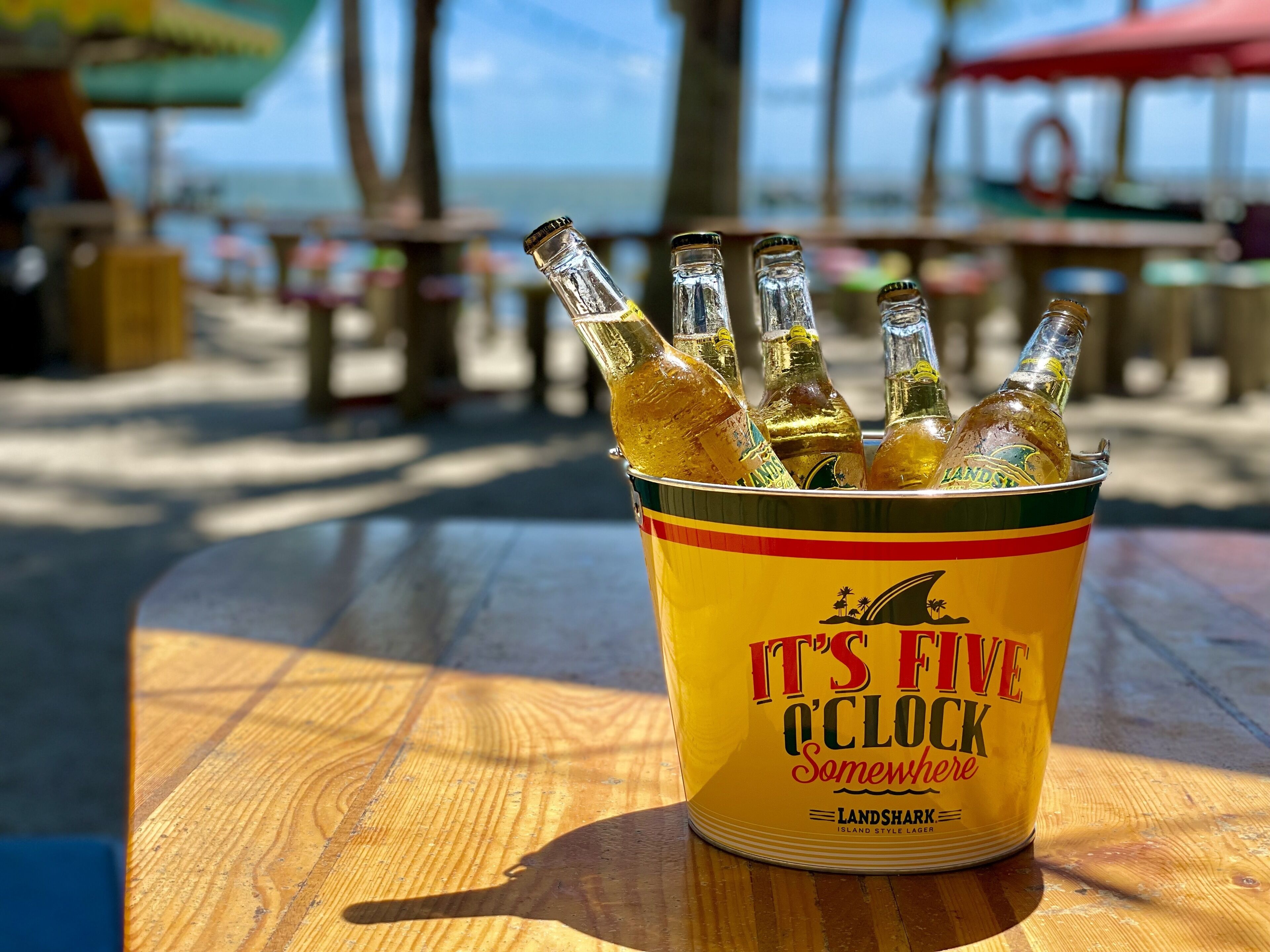 A can of Landshark Island Style Lager with bottles inside, placed on a wooden table outdoors.