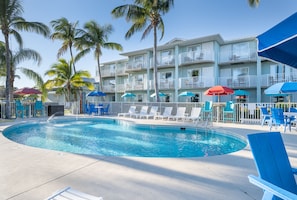 Outdoor pool, sun loungers