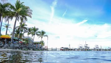Zona costera con palmeras, un muelle y barcos.