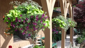 Una cesta colgante con flores moradas y hojas verdes, suspendida de una estructura de madera con una ventana al fondo.