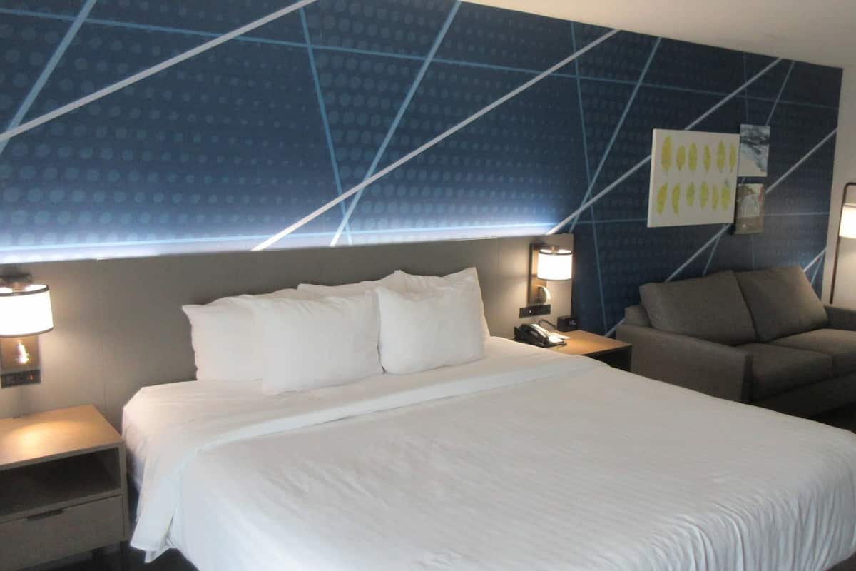 Premium bedding, individually decorated, individually furnished, desk