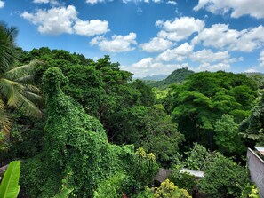 A lush green landscape with dense foliage and a clear blue sky.