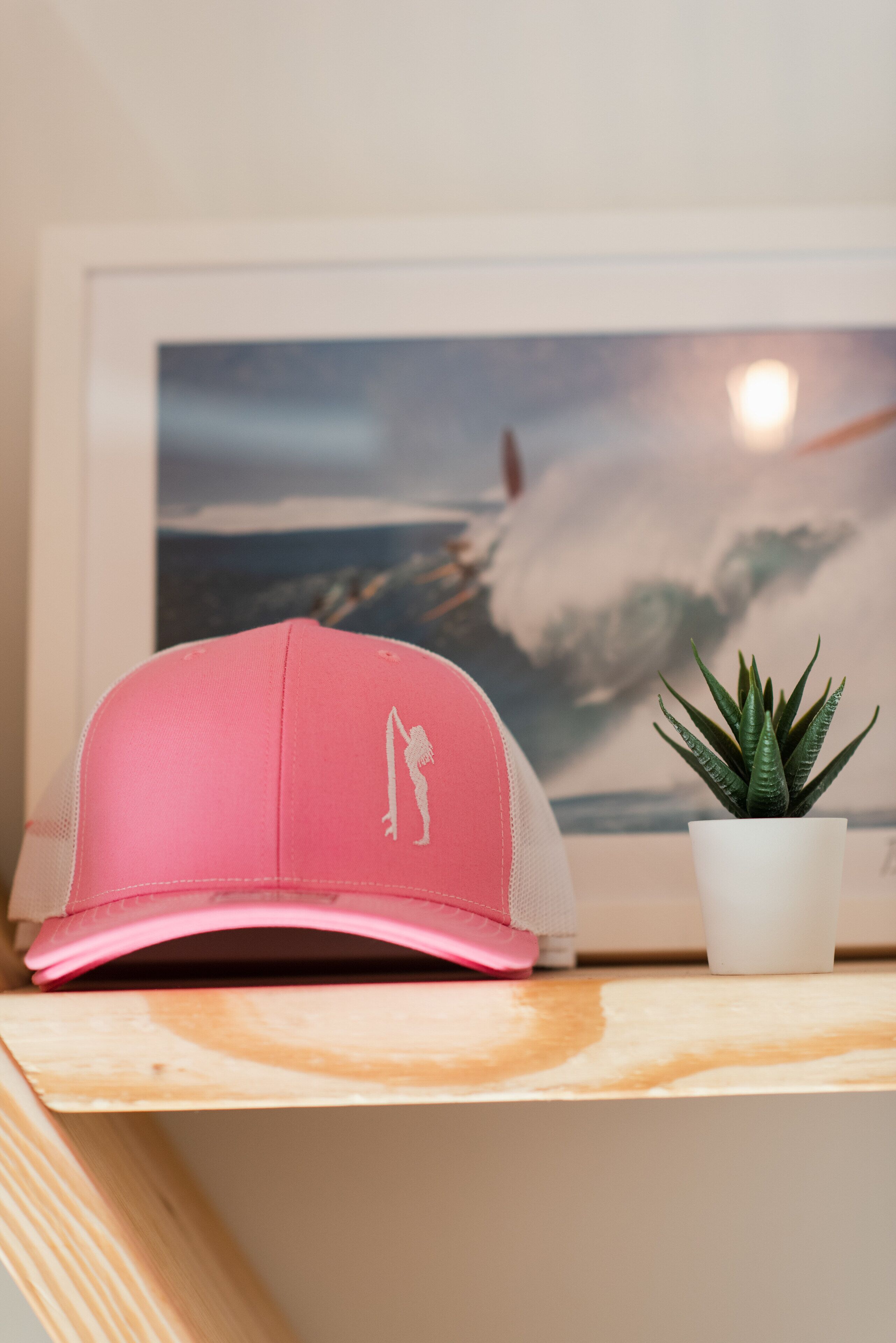 A pink cap with a silhouette design on a shelf next to a framed picture and a small potted plant.