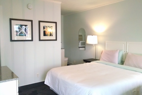 Room, 1 Queen Bed, Refrigerator & Microwave | Desk, iron/ironing board, free WiFi, bed sheets