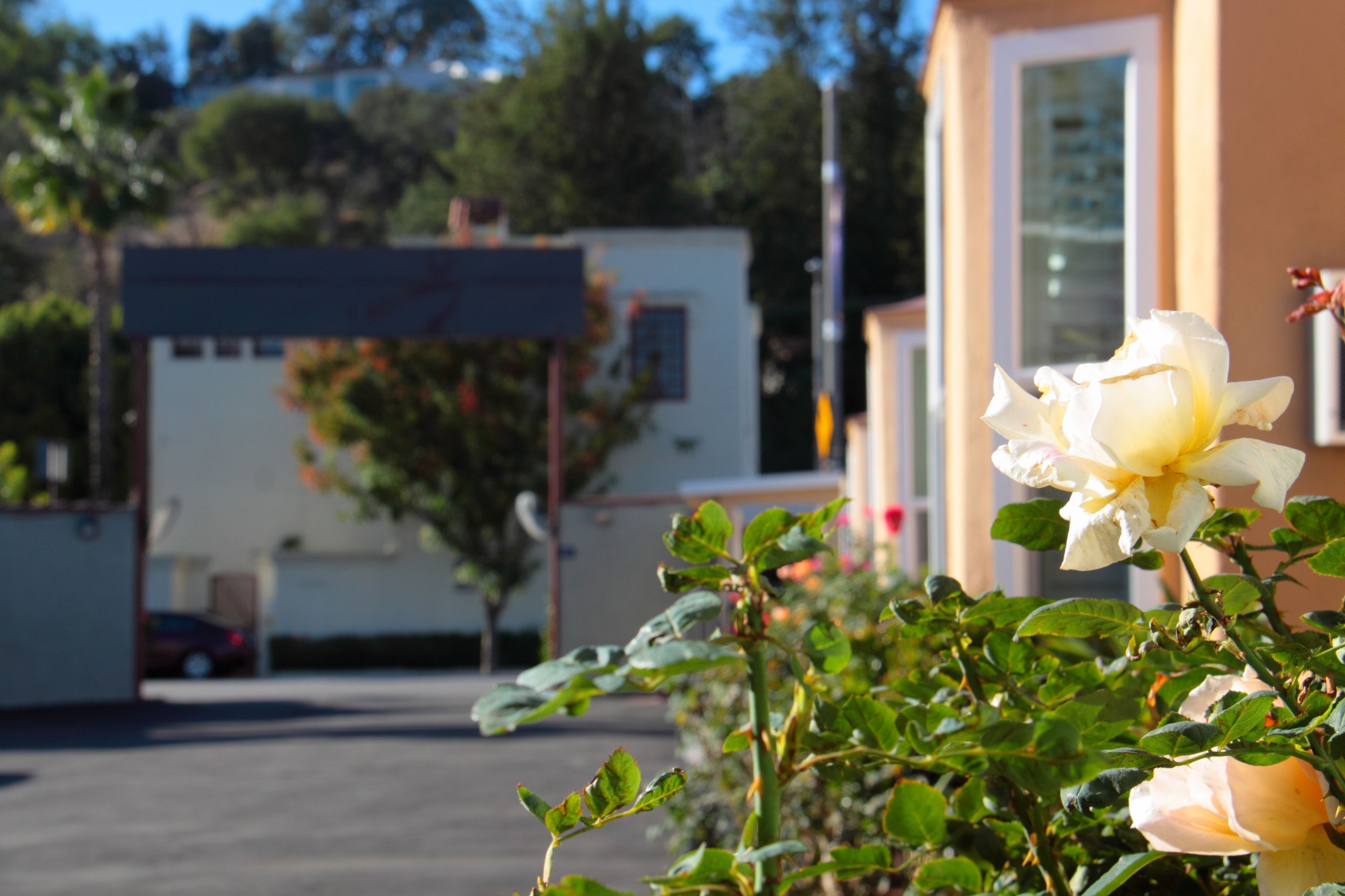 Foto - El Royale Hotel - Near Universal Studios Hollywood