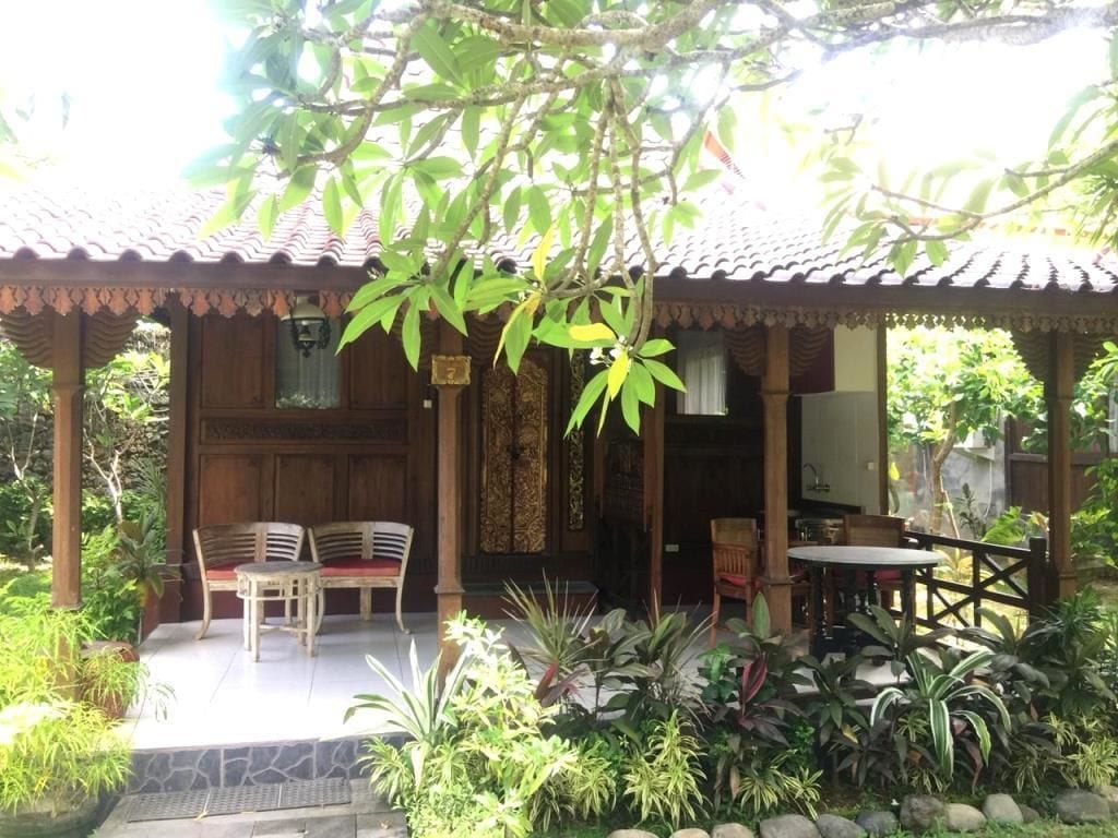 Une structure en bois surmontée d’un toit en tuiles, un espace détente avec deux chaises et une table, et diverses plantes disposées autour de la terrasse.