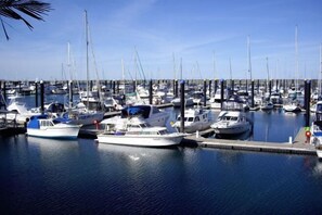 Marina - The Shores Holiday Apartments (Blacks Beach)