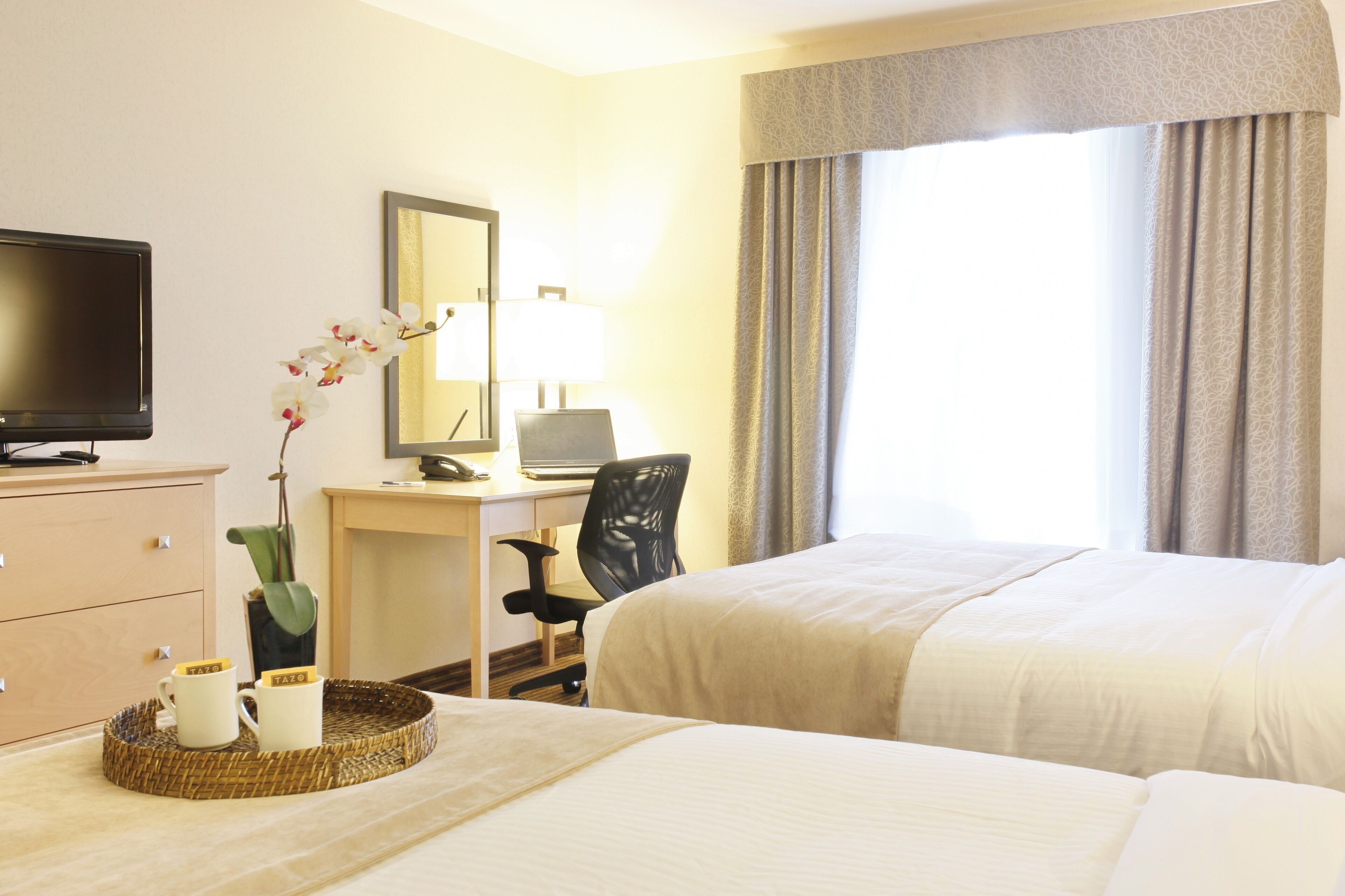 standard double room, multiple beds | premium bedding, pillow-top beds, desk, laptop workspace