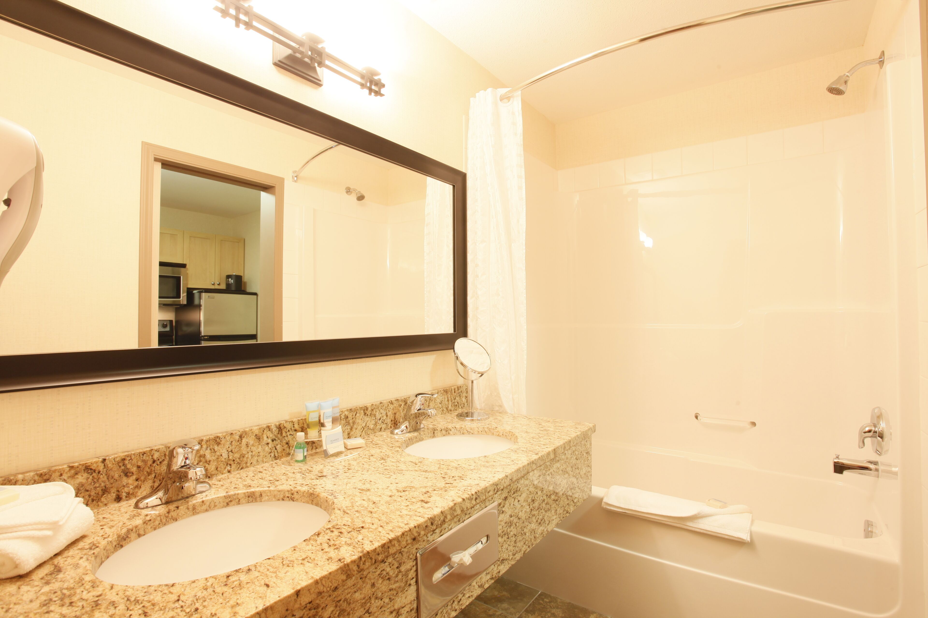 deluxe suite, 1 king bed with sofa bed, kitchen | bathroom | combined shower/bathtub, free toiletries, hair dryer, towels