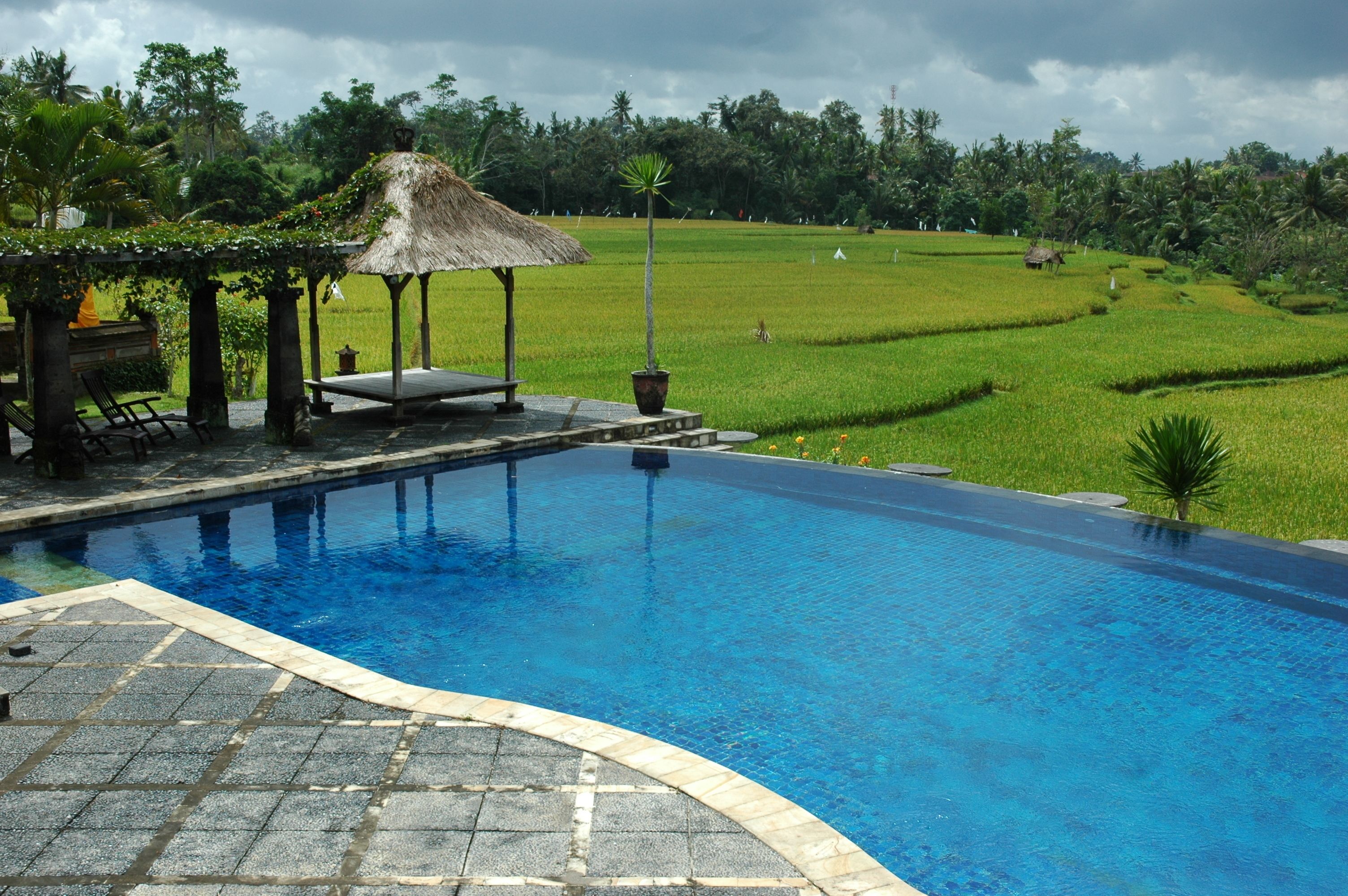 Photo - Bumi Ubud Resort