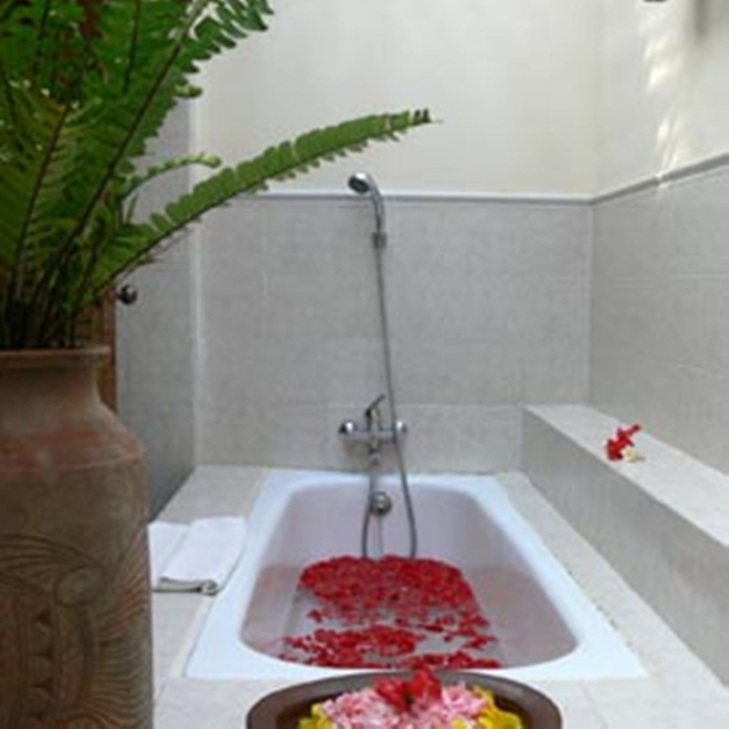 Foto - Bumi Ubud Resort