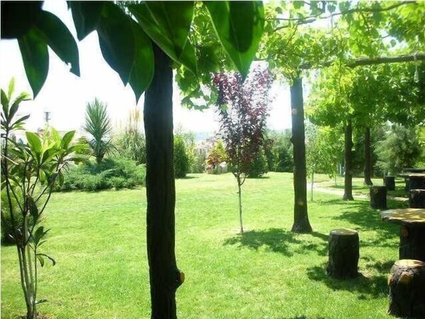 Jardim